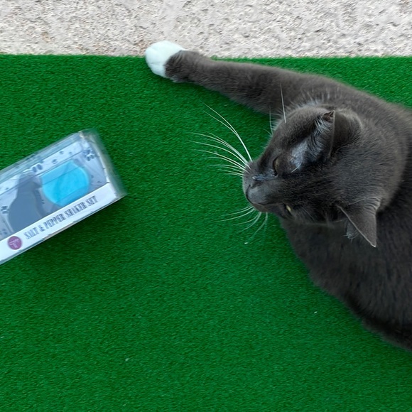 ❣️HOST PICK❣️ Cat and Fish Bowl Salt & Pepper Shakers - Picture 2 of 5